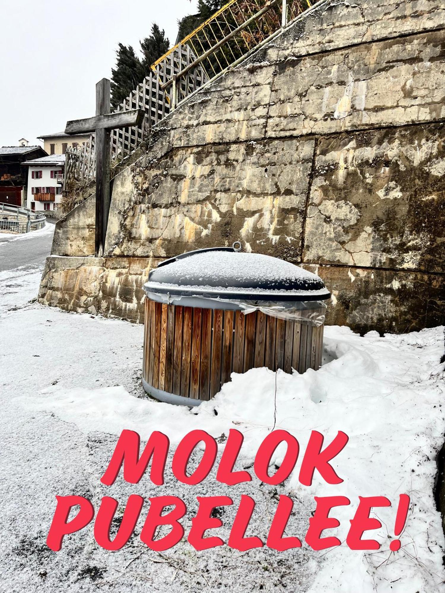 Gite Du Pelerin-Chalet De Montagne Orsières Eksteriør billede